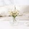 Round Glass Vase, Flower Vase for Bouquet, Ribbed Glass Vase, Fluted Vase, Clear Glass Vase for Tulips, Modern Glass Vase for Living Room, Office, Coffee Table, Shelf, Wedding, 6 Inches